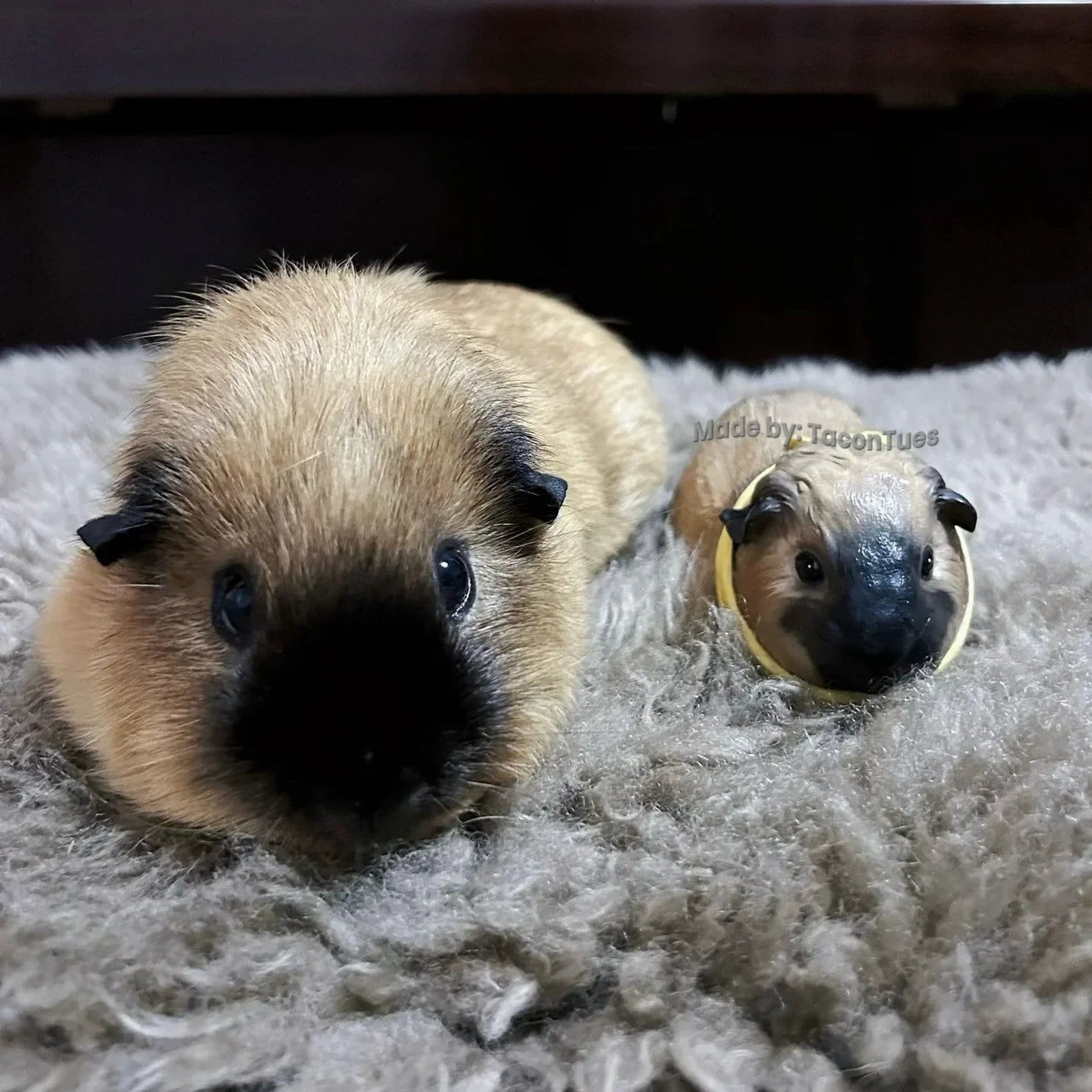 Custom Guinea Pig Figurines: Yes, We Actually Make Them