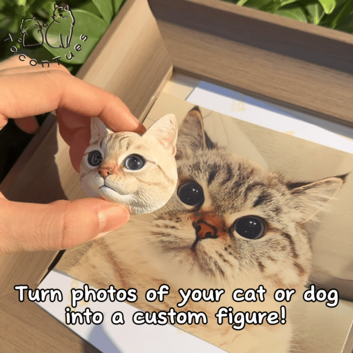 TACO&amp;TUES Customized 3in1 Plaster Cat&amp;Dog Figures w/ Gift Box