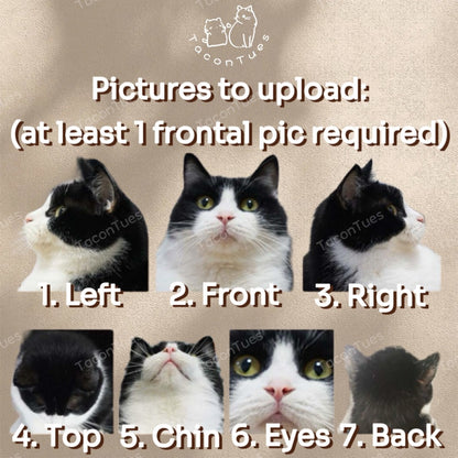 Photo upload guide for custom pet figurine order showing 7 required angles: left, front, right, top, chin, eyes and back